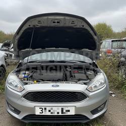 FORD FOCUS TITANIUM X M1DA 2015 Engine - Reliable Performance and Quality Assurance